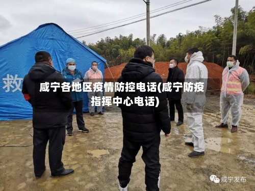 咸宁各地区疫情防控电话(咸宁防疫指挥中心电话)-第2张图片