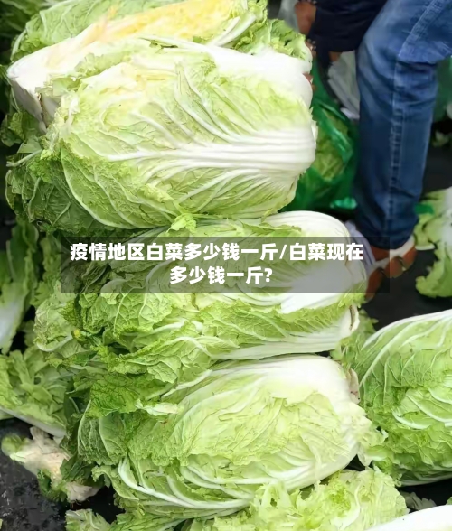 疫情地区白菜多少钱一斤/白菜现在多少钱一斤?-第1张图片