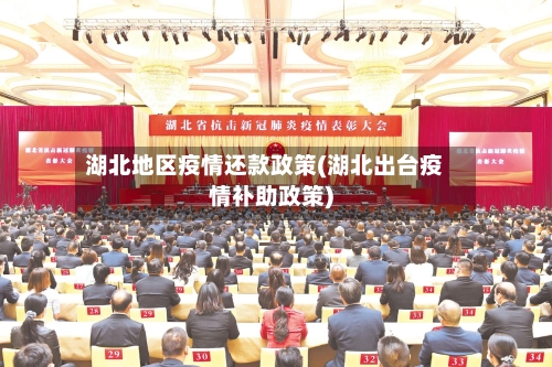 湖北地区疫情还款政策(湖北出台疫情补助政策)-第2张图片