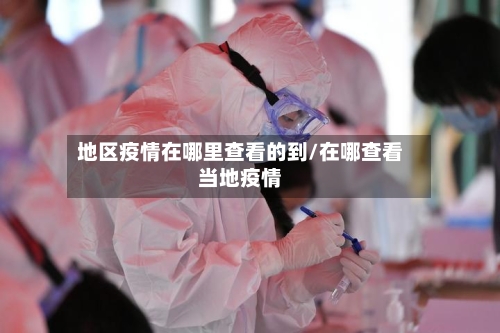 地区疫情在哪里查看的到/在哪查看当地疫情-第2张图片