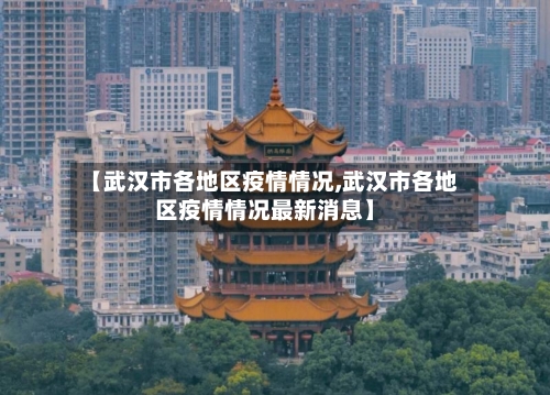 【武汉市各地区疫情情况,武汉市各地区疫情情况最新消息】-第2张图片