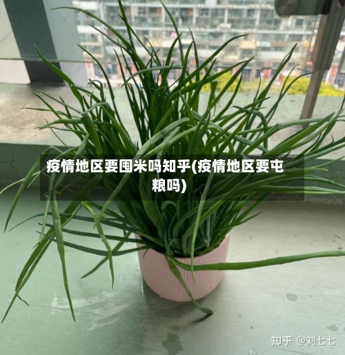 疫情地区要囤米吗知乎(疫情地区要屯粮吗)-第1张图片