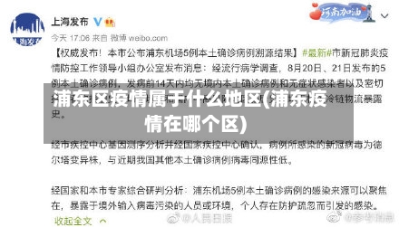 浦东区疫情属于什么地区(浦东疫情在哪个区)-第3张图片