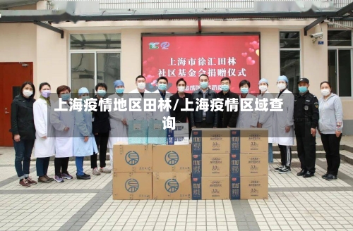 上海疫情地区田林/上海疫情区域查询-第3张图片
