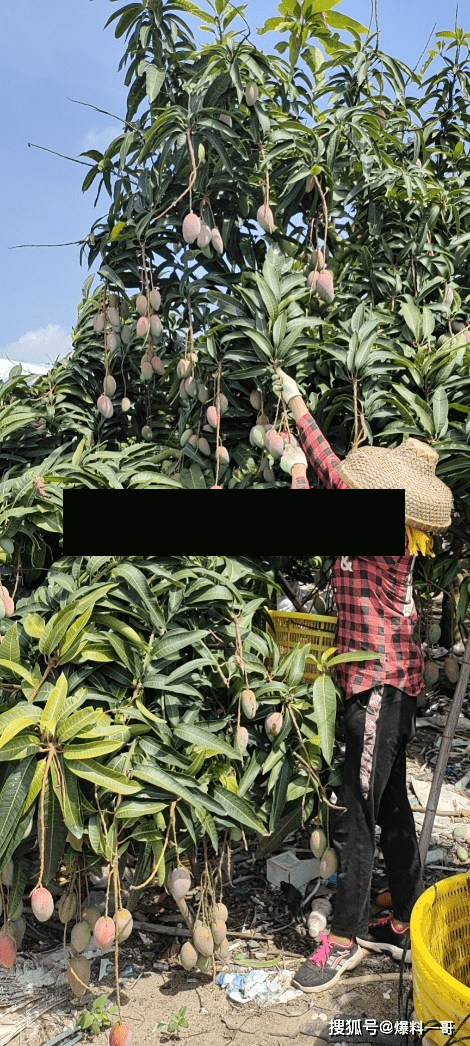 海南地区疫情地图分布图(海南地区疫情风险等级)-第2张图片