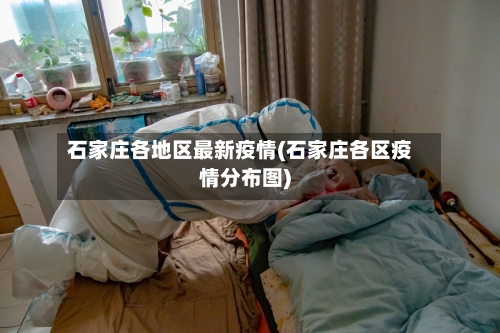 石家庄各地区最新疫情(石家庄各区疫情分布图)-第3张图片
