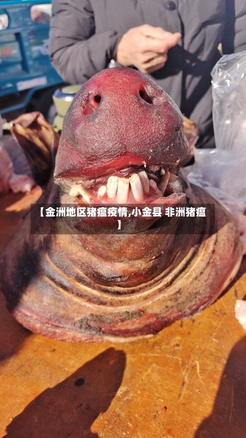 【金洲地区猪瘟疫情,小金县 非洲猪瘟】-第1张图片