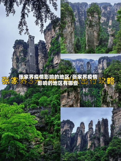 张家界疫情影响的地区/张家界疫情影响的地区有哪些-第1张图片