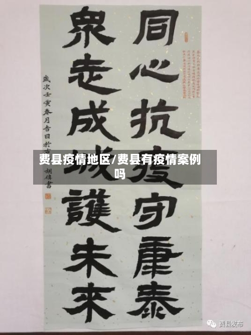 费县疫情地区/费县有疫情案例吗-第1张图片