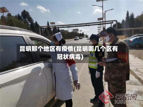 昆明那个地区有疫情(昆明哪几个区有冠状病毒)-第2张图片