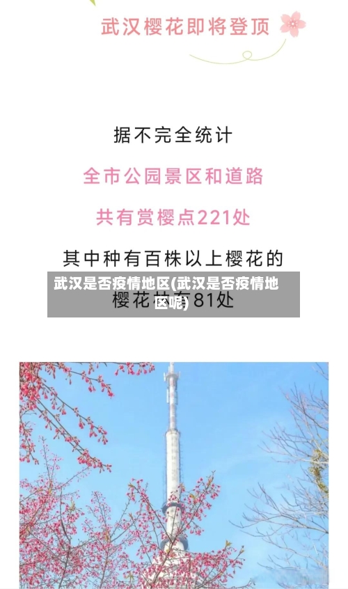 武汉是否疫情地区(武汉是否疫情地区呢)-第1张图片