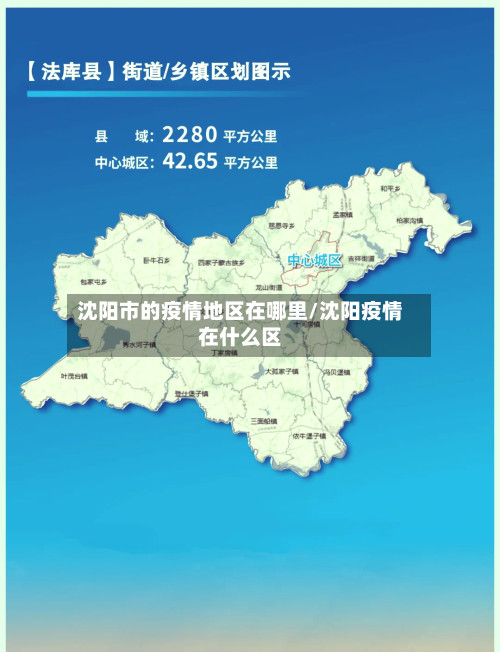 沈阳市的疫情地区在哪里/沈阳疫情在什么区-第3张图片