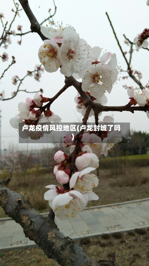 卢龙疫情风控地区(卢龙封城了吗)-第1张图片