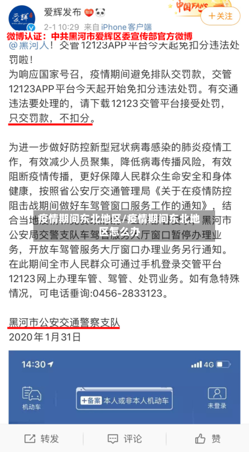 疫情期间东北地区/疫情期间东北地区怎么办-第3张图片