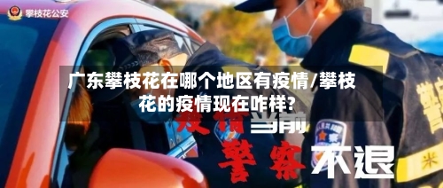 广东攀枝花在哪个地区有疫情/攀枝花的疫情现在咋样?-第1张图片