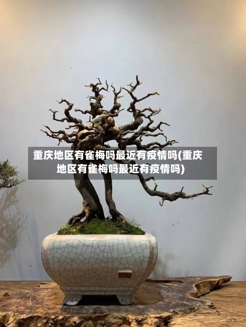 重庆地区有雀梅吗最近有疫情吗(重庆地区有雀梅吗最近有疫情吗)-第1张图片