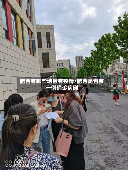 肥西有哪些地区有疫情/肥西是否有一例确诊病例-第2张图片