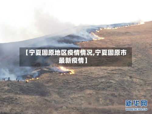 【宁夏固原地区疫情情况,宁夏固原市最新疫情】-第1张图片