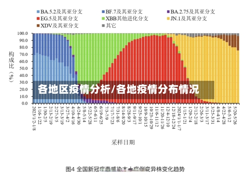 各地区疫情分析/各地疫情分布情况-第2张图片