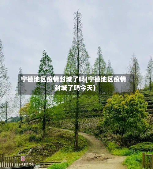 宁德地区疫情封城了吗(宁德地区疫情封城了吗今天)-第2张图片