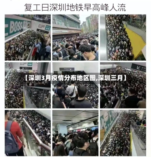 【深圳3月疫情分布地区图,深圳三月】-第1张图片