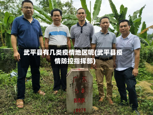 武平县有几类疫情地区呢(武平县疫情防控指挥部)-第2张图片