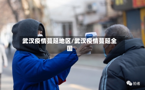 武汉疫情蔓延地区/武汉疫情蔓延全国-第3张图片