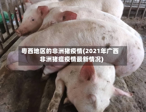 粤西地区的非洲猪疫情(2021年广西非洲猪瘟疫情最新情况)-第3张图片