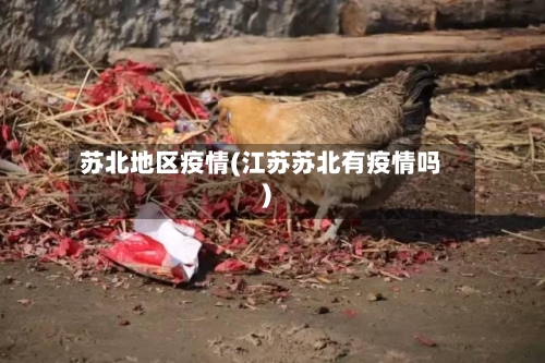 苏北地区疫情(江苏苏北有疫情吗)-第2张图片