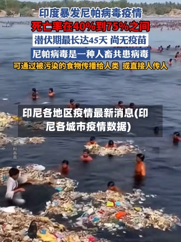 印尼各地区疫情最新消息(印尼各城市疫情数据)-第1张图片