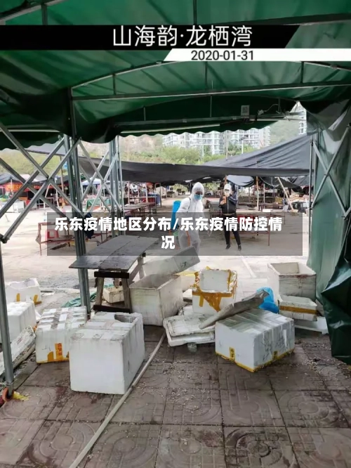 乐东疫情地区分布/乐东疫情防控情况-第1张图片