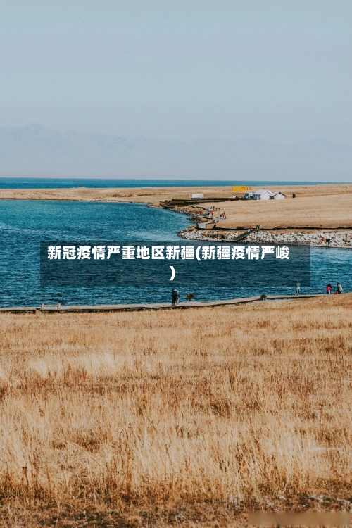 新冠疫情严重地区新疆(新疆疫情严峻)-第3张图片