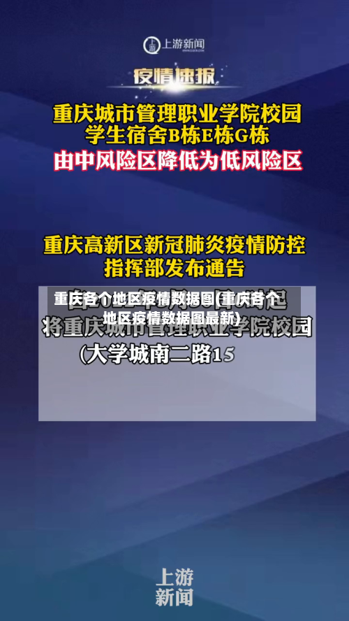 重庆各个地区疫情数据图(重庆各个地区疫情数据图最新)-第2张图片