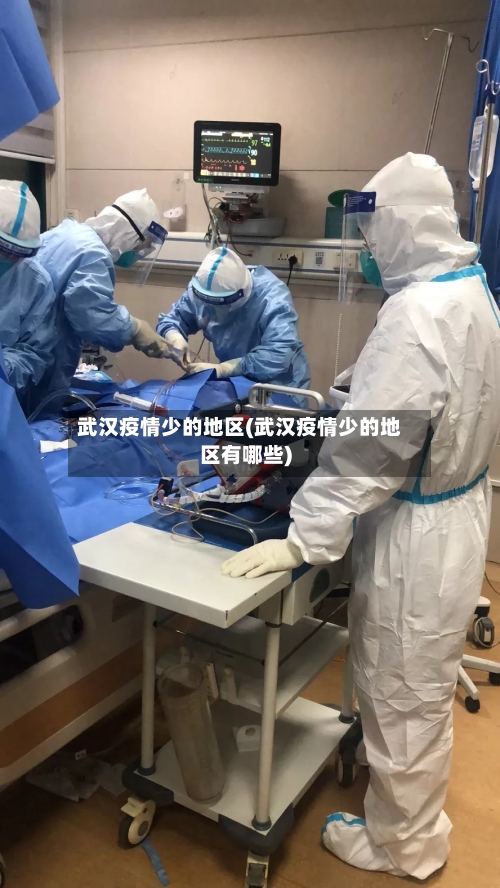 武汉疫情少的地区(武汉疫情少的地区有哪些)-第1张图片