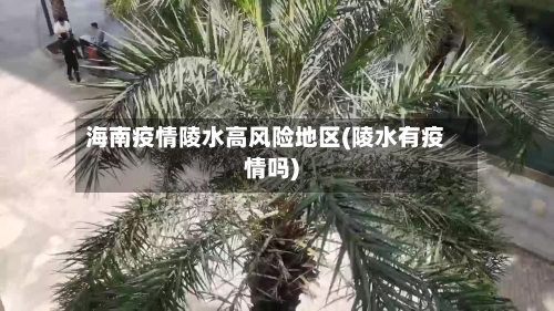 海南疫情陵水高风险地区(陵水有疫情吗)-第3张图片