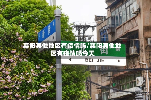 襄阳其他地区有疫情吗/襄阳其他地区有疫情吗今天-第1张图片