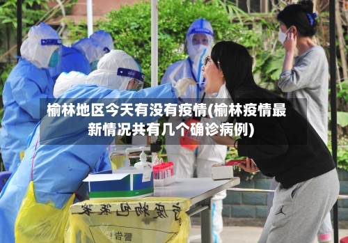 榆林地区今天有没有疫情(榆林疫情最新情况共有几个确诊病例)-第1张图片