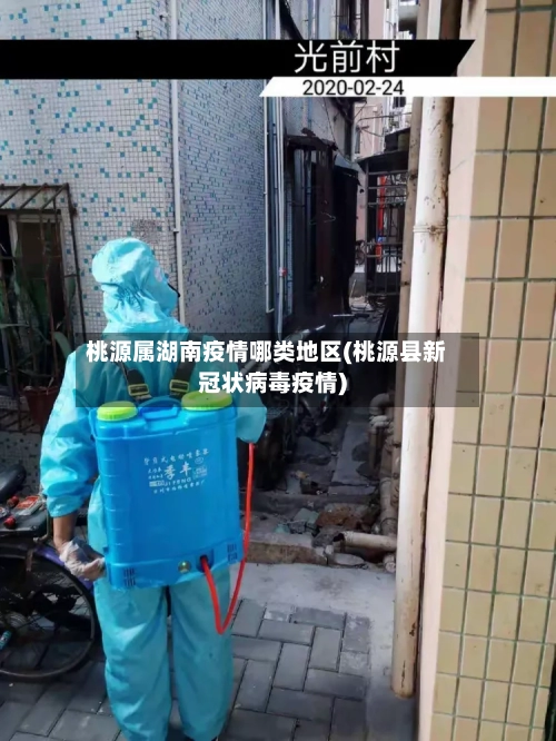桃源属湖南疫情哪类地区(桃源县新冠状病毒疫情)-第2张图片