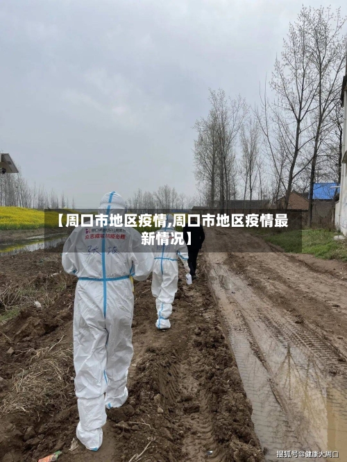 【周口市地区疫情,周口市地区疫情最新情况】-第3张图片