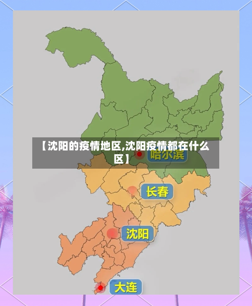 【沈阳的疫情地区,沈阳疫情都在什么区】-第2张图片