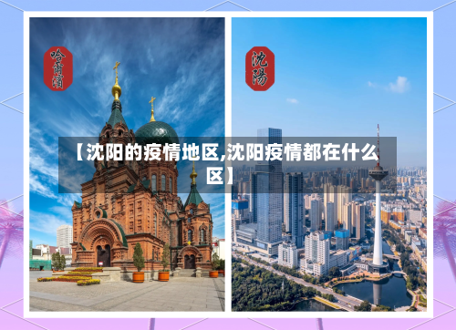 【沈阳的疫情地区,沈阳疫情都在什么区】-第3张图片