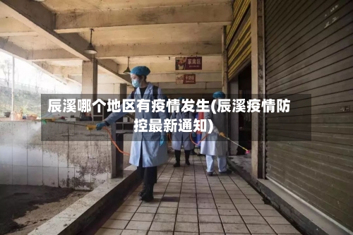 辰溪哪个地区有疫情发生(辰溪疫情防控最新通知)-第1张图片