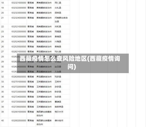 西藏疫情怎么查风险地区(西藏疫情询问)-第2张图片