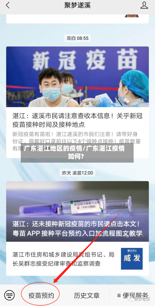 广东湛江地区的疫情/广东湛江疫情如何?-第3张图片