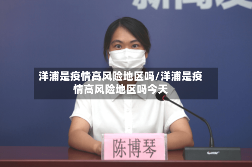 洋浦是疫情高风险地区吗/洋浦是疫情高风险地区吗今天-第2张图片