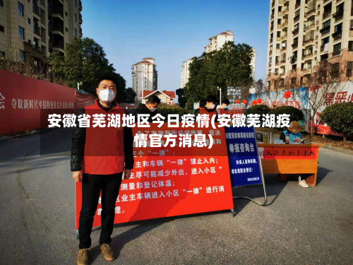 安徽省芜湖地区今日疫情(安徽芜湖疫情官方消息)-第2张图片