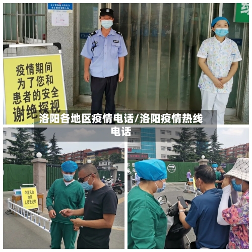 洛阳各地区疫情电话/洛阳疫情热线电话-第2张图片