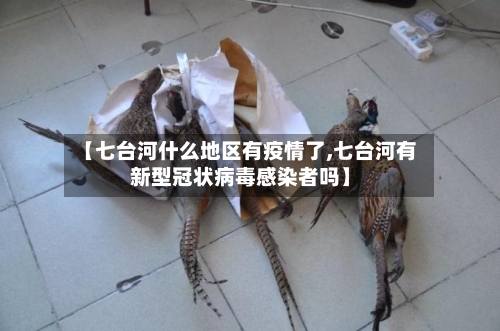 【七台河什么地区有疫情了,七台河有新型冠状病毒感染者吗】-第2张图片