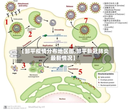 【邹平疫情分布地区图,邹平新冠肺炎最新情况】-第1张图片