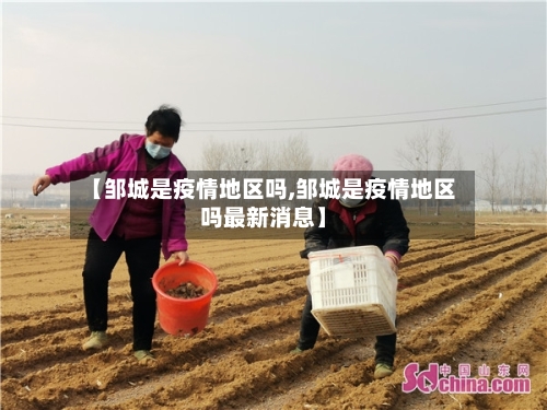 【邹城是疫情地区吗,邹城是疫情地区吗最新消息】-第2张图片